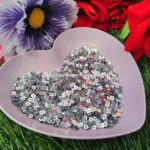 round silver plain sequins