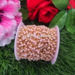 Pearl Beaded Chain
