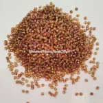 Premium sugar bead rainbow gold