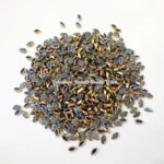 6k Eye Kundan_Ink Blue