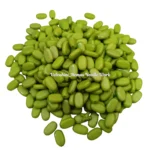 Tablet Bead_Pista Green