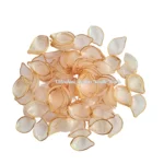 Brooch_Design (22)