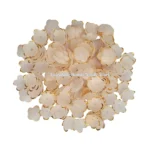 Brooch_Design (29)