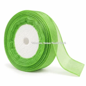 Organza ribbon_Light Green