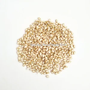 6k Ceramic Kundan White_Eye