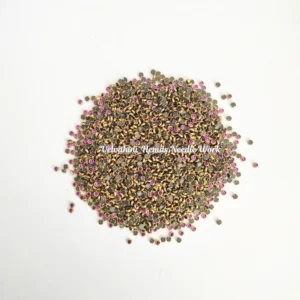 Round Kundan 3mm _Violet